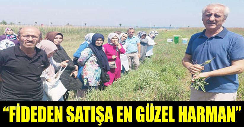 Düzceli kadınlar Artemisia Tıbbi Bitki Bahçesinde 