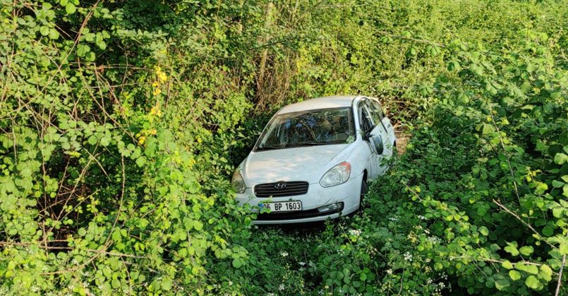 TEM'de kontrolden çıkan otomobil ağaçlık alana uçtu: 3 yaralı
