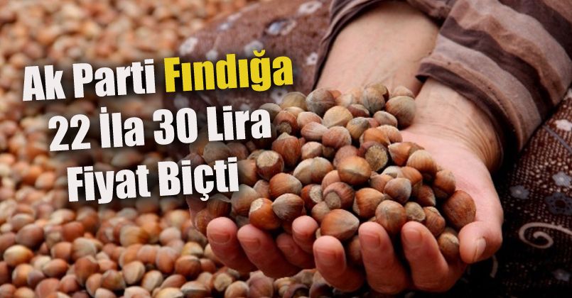 Ak Parti Fındığa 22 İla 30 Lira Fiyat Biçti