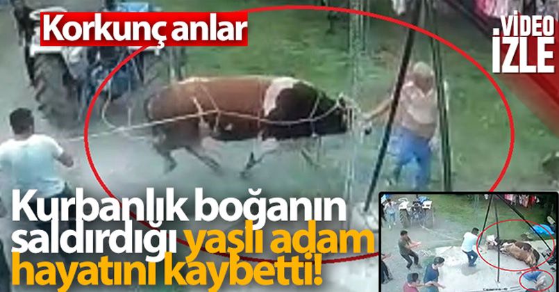 Kurbanlık boğanın saldırdığı yaşlı adam hayatını kaybetti