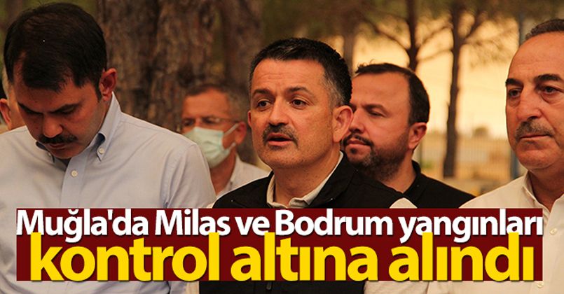 Bakan Pakdemirli: Muğla'da Milas ve Bodrum yangınları kontrol altına alındı