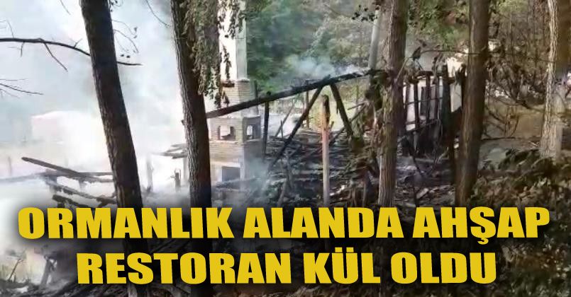 Ormanlık alandaki ahşap restoranda çıkan yangın panik oluşturdu