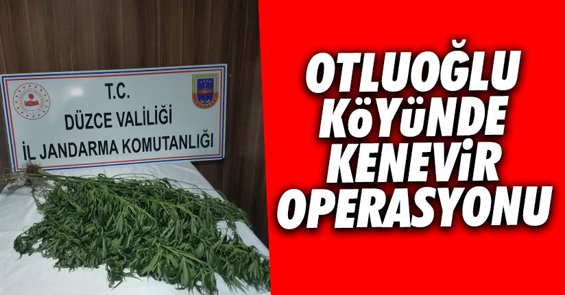 Jandarma’dan uyuşturucu operasyonu
