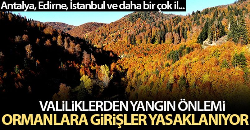 Valiliklerden yangın önlemi; Ormanlara girişler yasaklanıyor