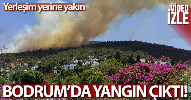 Bodrum'da yangın