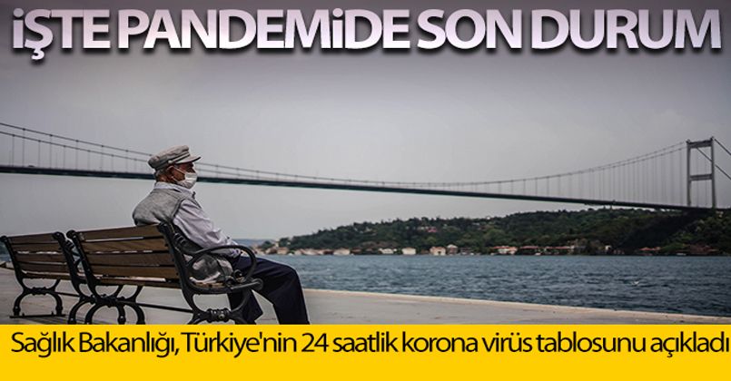 31 Temmuz 2021 Korona Virüs Tablosu