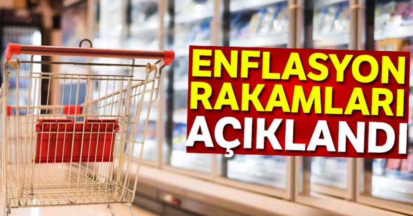 Temmuz ayı enflasyon rakamları açıklandı !