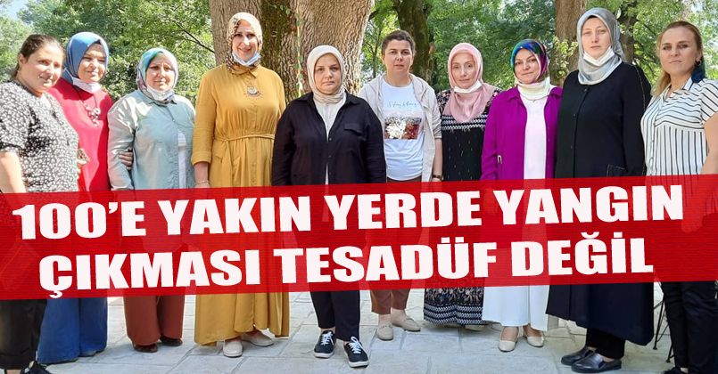 Ayşe Keşir: