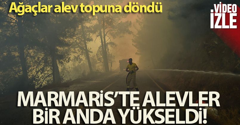 Marmaris'te alevler bir anda yükseldi! Ağaçlar alev topuna döndü