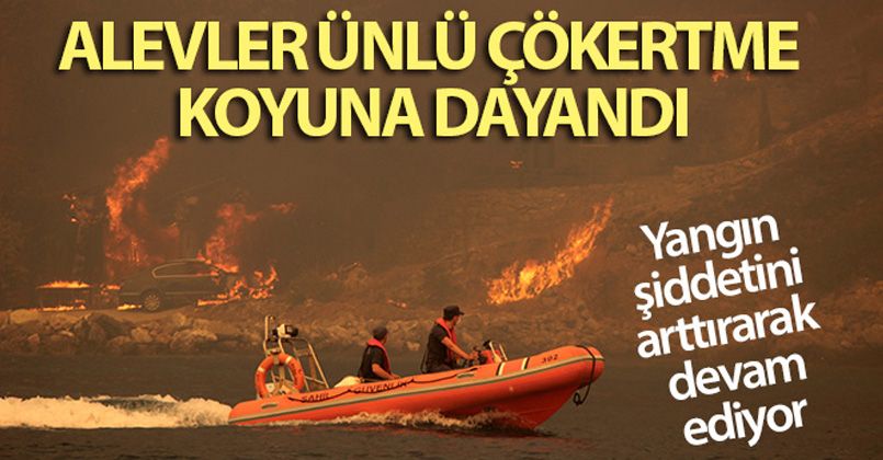 Alevler Çökertme koyuna dayandı! Araç alev alev yandı