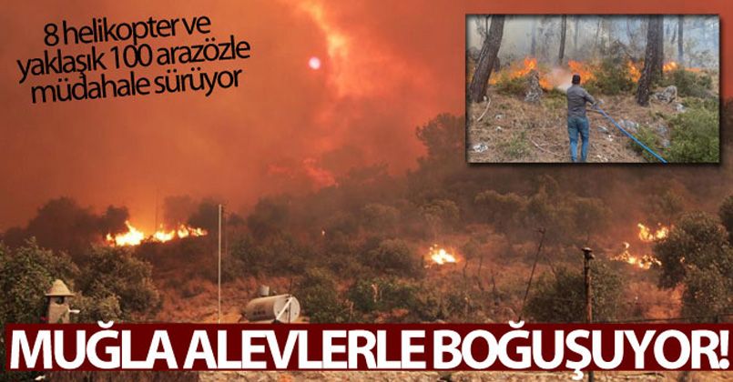 Muğla alevlerle boğuşuyor