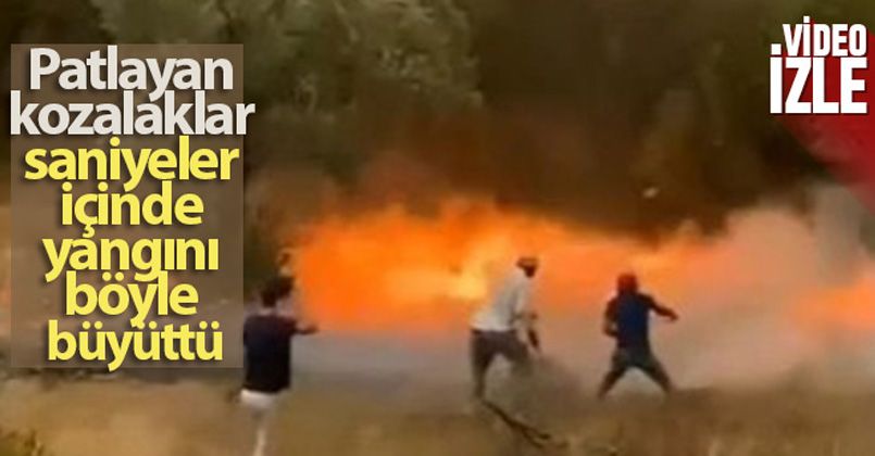 Patlayan kozalaklar saniyeler içinde yangını böyle büyüttü