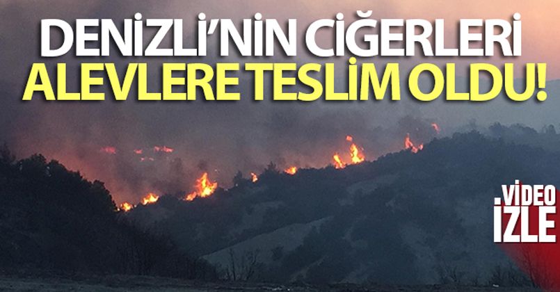 Denizli'deki orman yangını kısmen kontrol altına alındı
