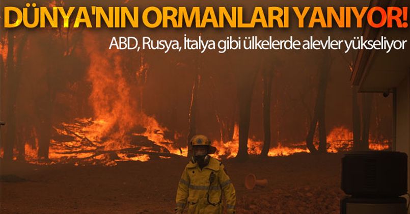 Dünya'nın ormanları yanıyor