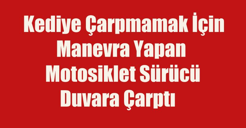 Kediye çarpmamak için manevra yapan motosiklet sürücü duvara çarptı