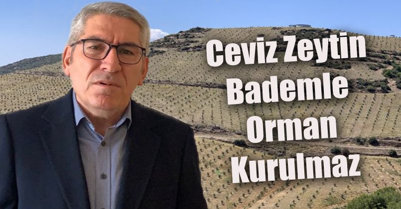 Ceviz Zeytin Bademle Orman Kurulmaz