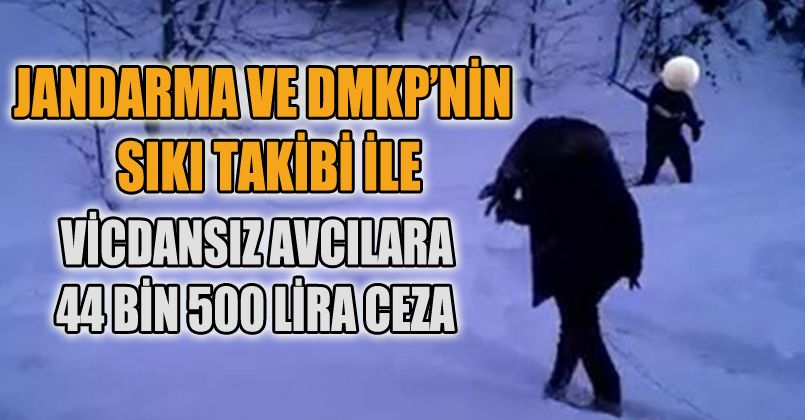 Fotokapana takılan avcılara 44 bin lira ceza
