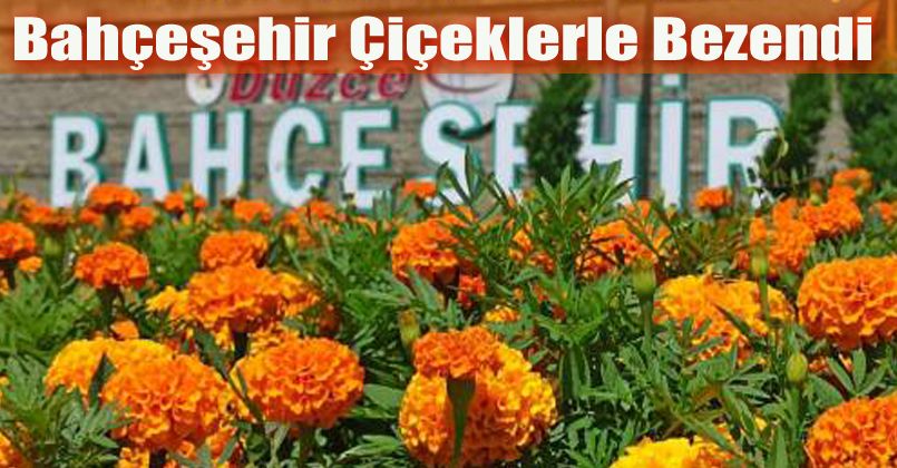 Bahçeşehir çiçeklerle bezendi