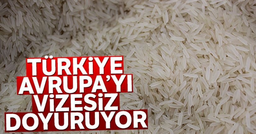 Türkiye, Avrupa'yı vizesiz doyuruyor