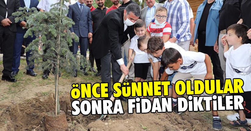 Toplu sünnet şöleni sonrasında fidanlar toprakla buluştu