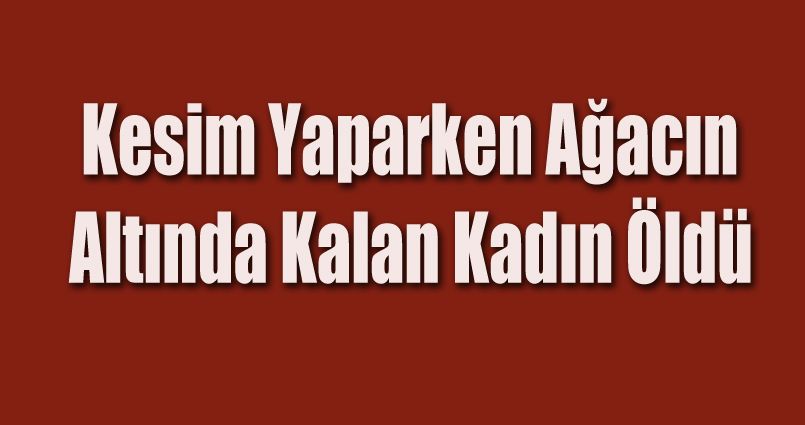 Kesim yaparken ağacın altında kalan kadın öldü