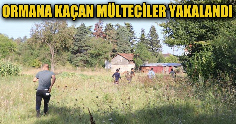 Ormana kaçan 16 göçmen böyle yakalandı