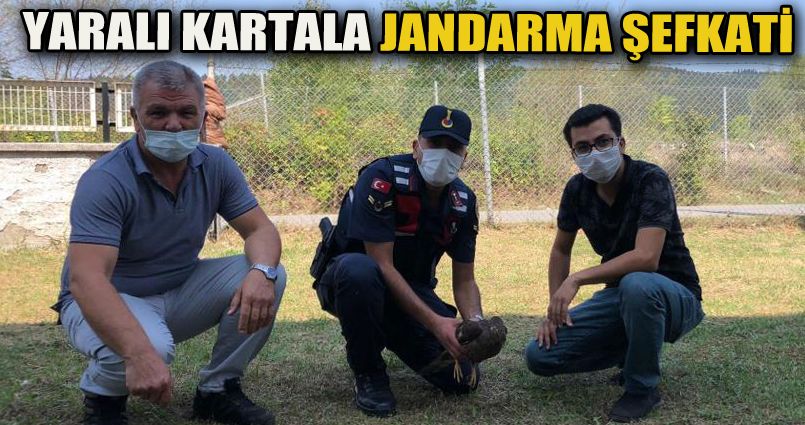 Yaralı kartala jandarma şefkati