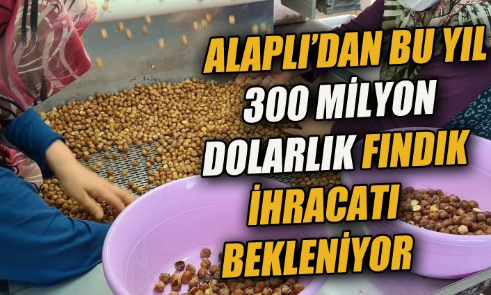 Alaplı'dan bu sezon 300 milyon dolarlık fındık ihracatı bekleniyor