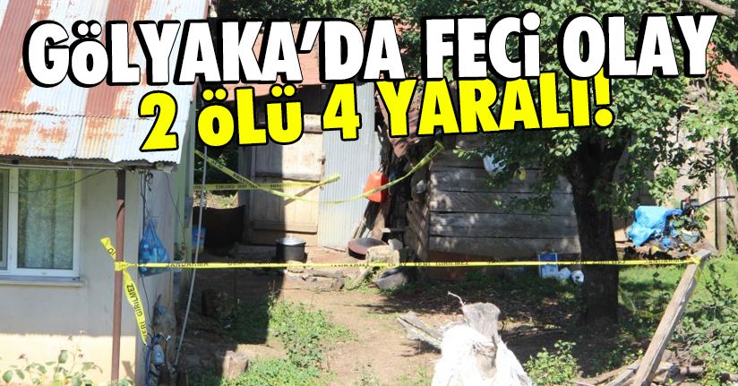 Düzce’ye fındık toplamaya gelen ailede kavga: 2 ölü, 2'si ağır 4 yaralı