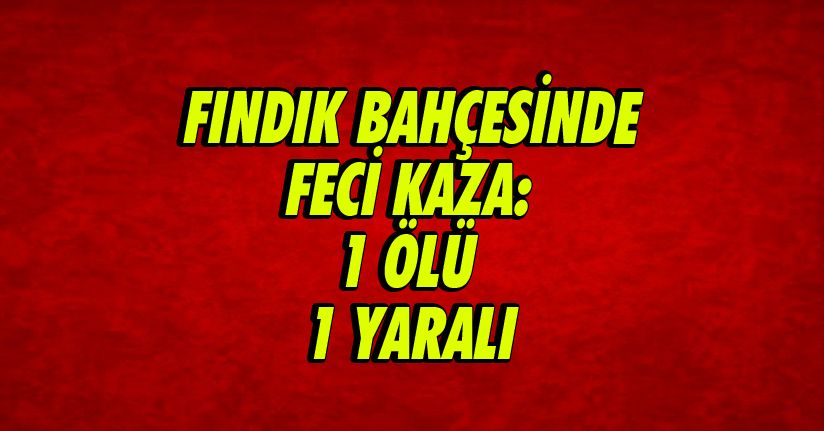 Fındık bahçesinde feci kaza: 1 ölü, 1 yaralı