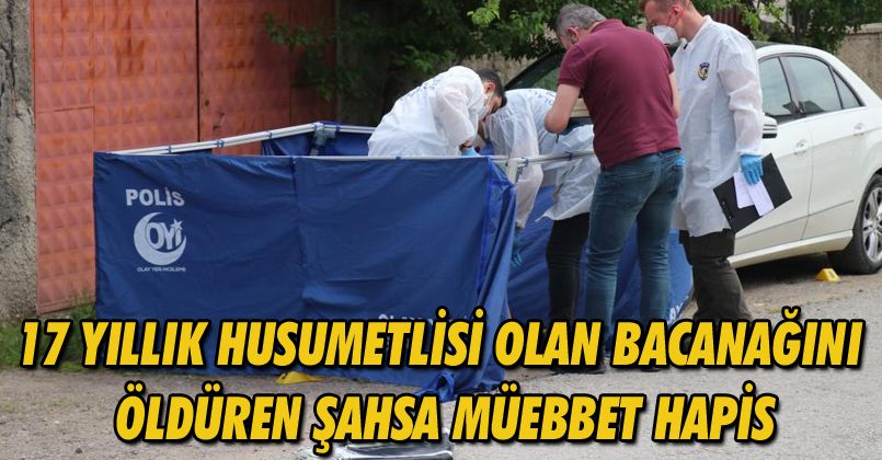 17 yıllık husumetlisi olan bacanağını öldüren şahsa müebbet hapis