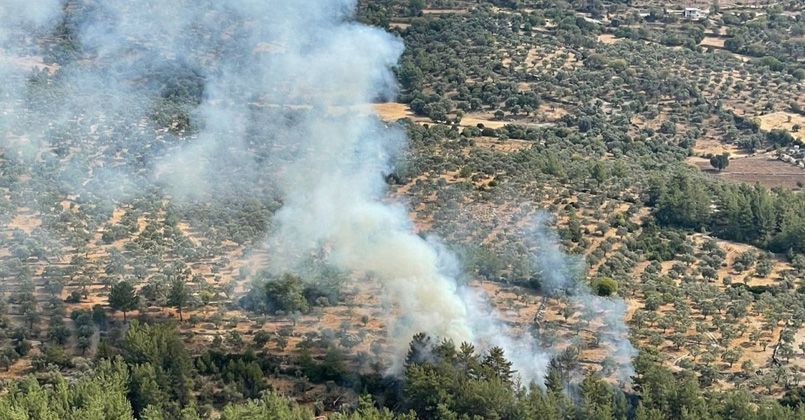 Muğla'da çıkan 10 yıldırım yangını büyümeden söndürüldü