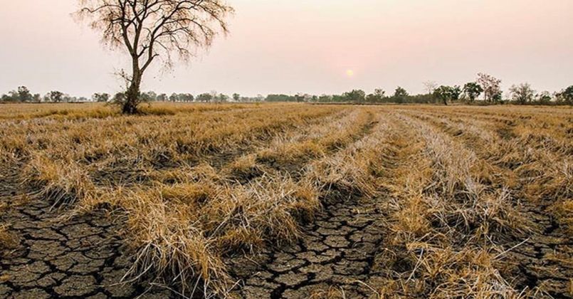 TARSİM'den üreticilere 214 milyon TL kuraklık ödemesi