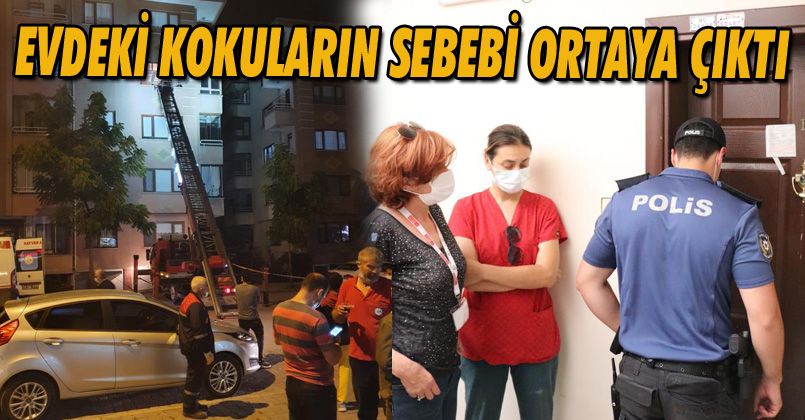 Kokuların sebebi ortaya çıktı