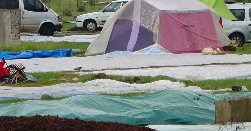 Islanan fındıkta çürüme riski çok artıyor