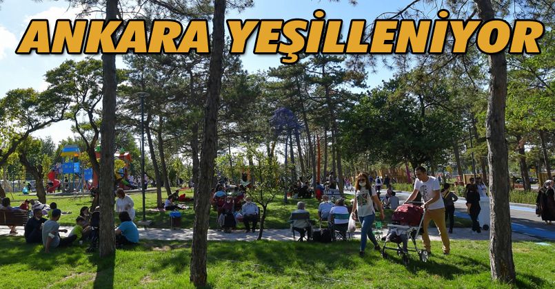 Yılların hasreti bitiyor: Ankaralılar teker teker yeşil alanlara kavuşuyor