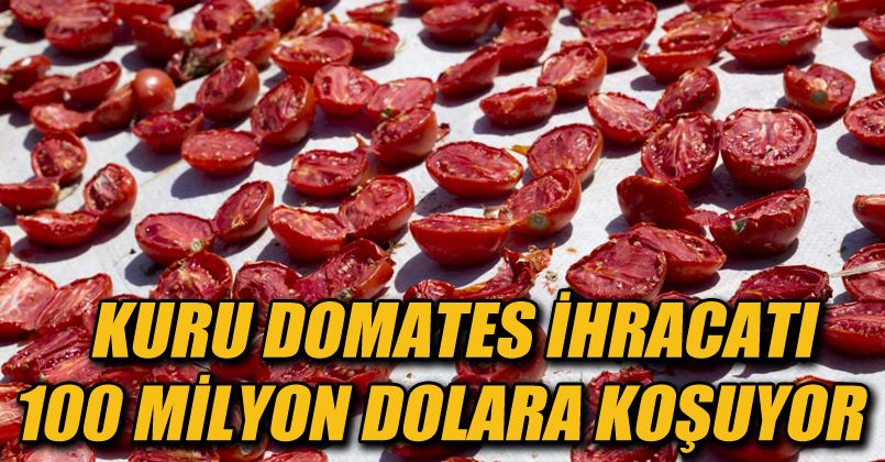 Kuru domates ihracatı 100 milyon dolara koşuyor