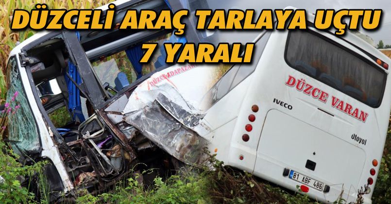 D-100’de yolcu midibüsü tarlaya uçtu: 7 yaralı