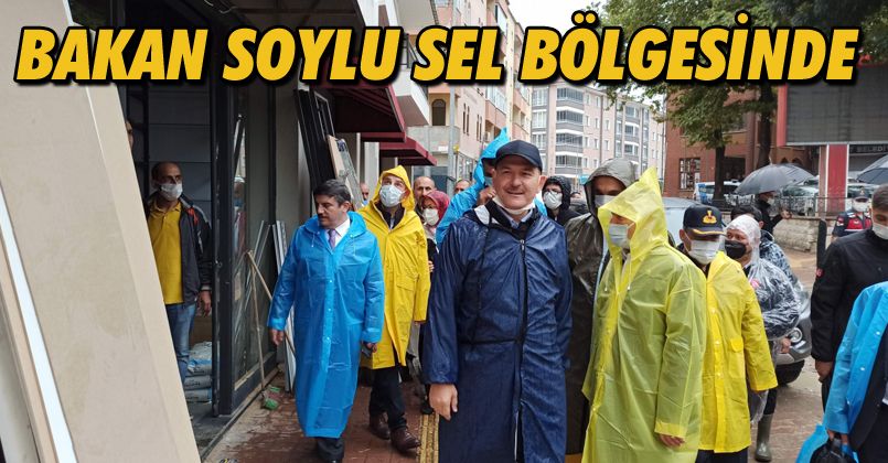 Bakan Soylu, selin vurduğu Bozkurt'ta incelemelerde bulundu