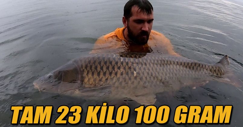 Sapanca Gölü’nde 23 kiloluk sazan yakaladı, sezonun rekorunu kırdı