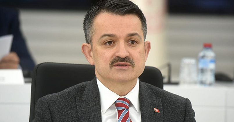 Bakan Pakdemirli: 'Üreticilerimize fındıkta 80 milyon, kuru üzümde 76 milyon TL ödeme yaptık'