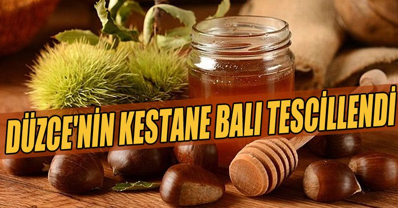 Düzce'nin Kestane Balı Tescillendi