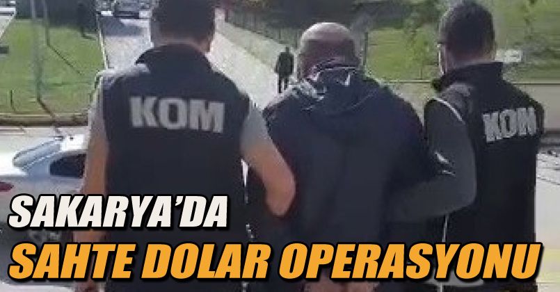 100 bin sahte doları piyasaya sürmek isterken yakayı ele verdiler