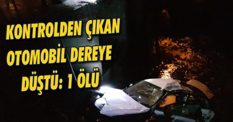 Kontrolden çıkan otomobil dereye düştü: 1 ölü