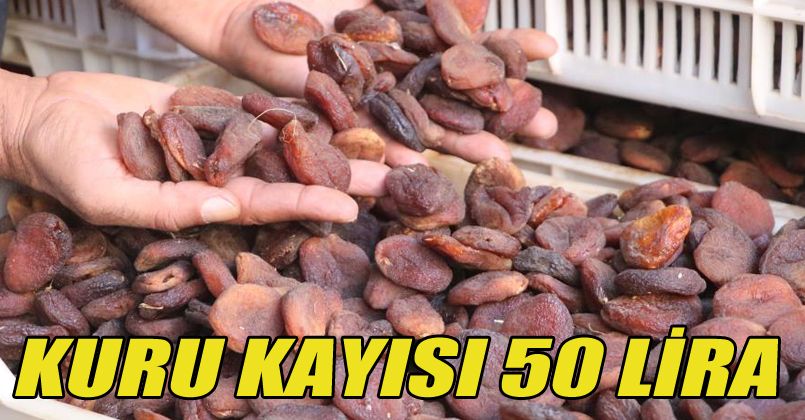 Ünü sınırları aştı, fiyatı rekor kırdı