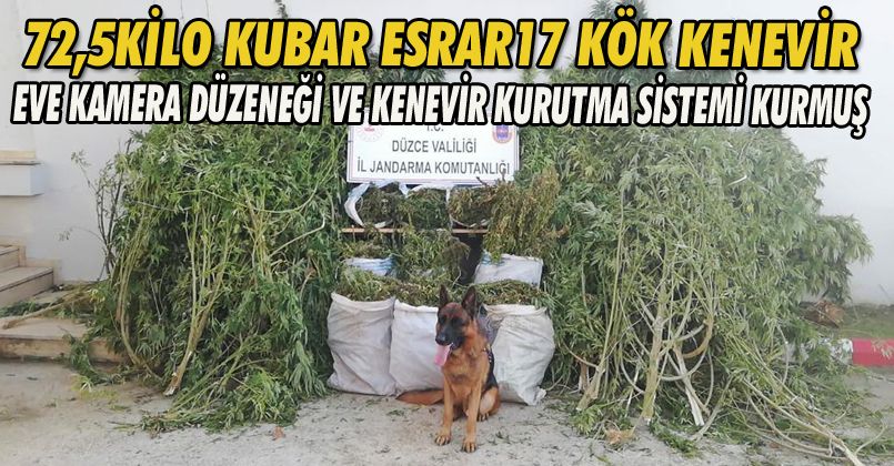 Akçakoca'da Polis ve Jandarmadan Ortak Operasyon