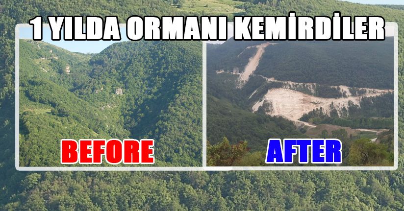 Çimento Fabrikası Ormanlarımızı Yok Ediyor