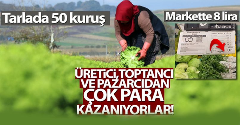 Tarlada 50 kuruş, markette 8 lira