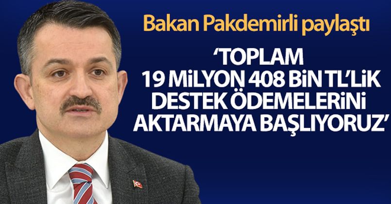 Bakan Pakdemirli Açıkladı