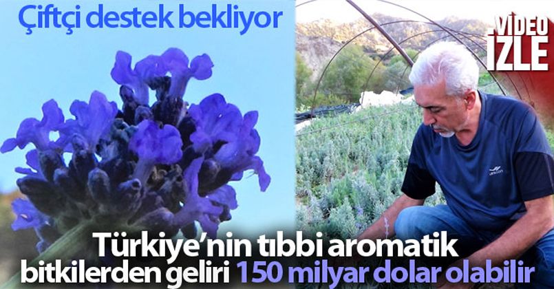 Türkiye'nin tıbbi aromatik bitkilerden geliri 150 milyar dolar olabilir